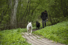 Postitee-jooks25_Foto-Reigo-Teervalt-7