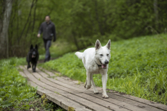 Postitee-jooks25_Foto-Reigo-Teervalt-8