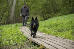 Postitee-jooks25_Foto-Reigo-Teervalt-9